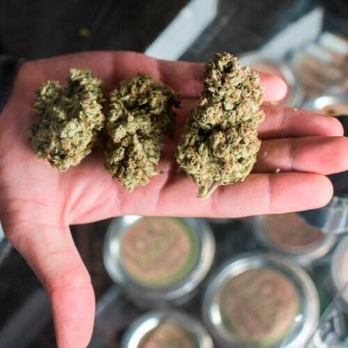 Cathy Jordan, Florida’s Medical Cannabis Pioneer, Passes Away at 74