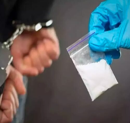 Chennai Woman Helps Bust Drug Racket by Getting Son Arrested