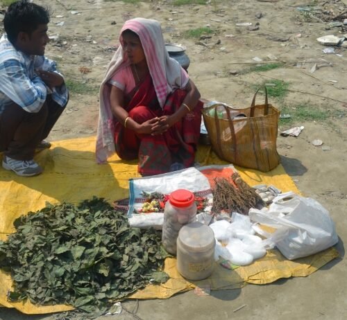 Unlocking the Potential of India’s Cannabis Market