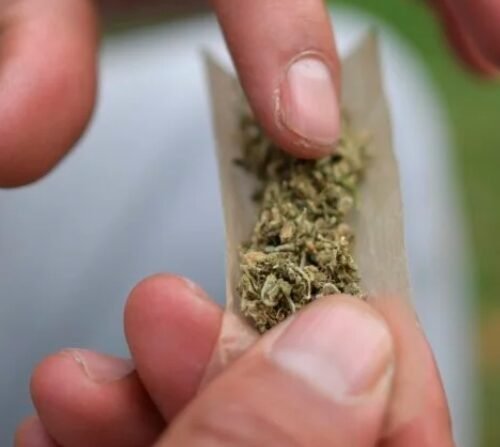 Holyoke Cannabis Withdraws Application for Retail Marijuana Permit in Southwick
