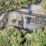 maryland cannabis legalization economic impact