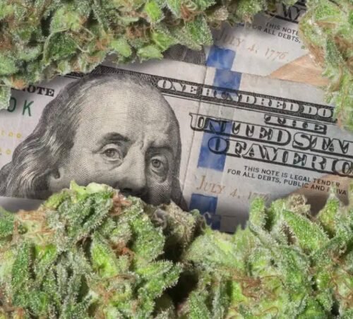 Maryland Cannabis Sales Surpass $1.1 Billion in First Year of Legalization