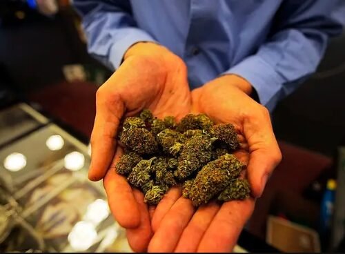 Maryland’s Cannabis Sales Surpass $1 Billion in First Year