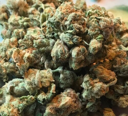 NIST’s New Hemp Reference Material to Ensure Accurate Cannabis Measurements