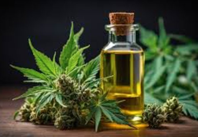 pain management innovations and cannabis utilization