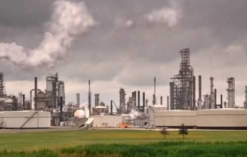 Pesticide Contamination in California’s Cannabis Industry: A Growing Concern