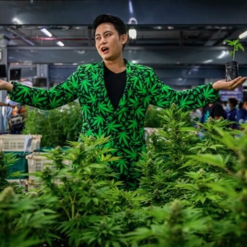 Thailand to Ban Recreational Marijuana by End of 2024