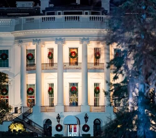 Thailand’s Cannabis Controversy: Advocates Protest Potential Ban