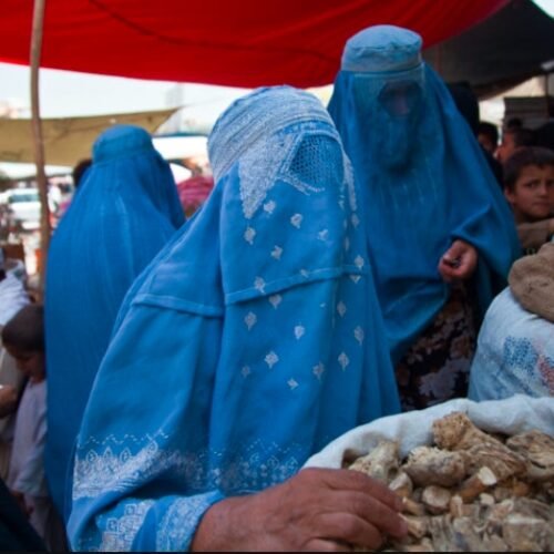 Thailand Moves to Reclassify Cannabis as Narcotics