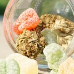 Cannabis Edibles Market