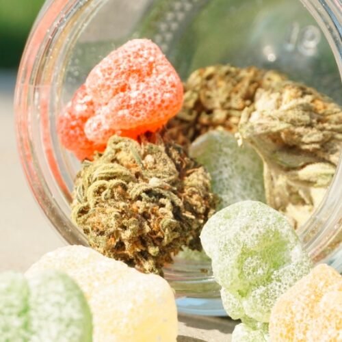 SNDL’s Strategic Move: Acquiring Indiva to Dominate the Cannabis Edibles Market