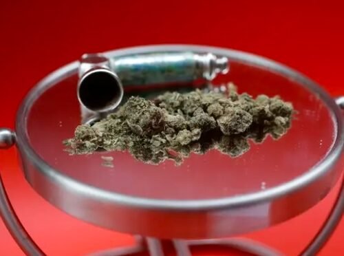 Adult Use of Cannabis and Hallucinogens Remains at Historically High Levels