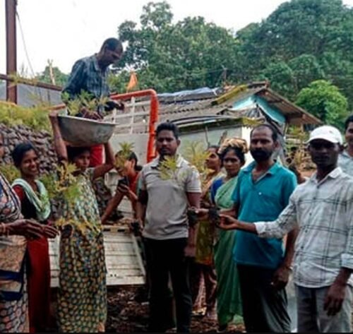 Andhra Pradesh’s 100-Day Drive Against Cannabis in ASR District Shows Promising Results