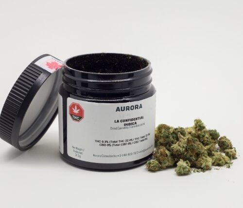 Aurora Cannabis Sees Promising Growth in Q1 2025, Targets Global Market Expansion