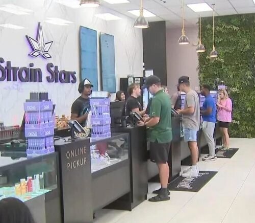 Babylon’s Cannabis Tax Revenue: A Boon for Community Programs