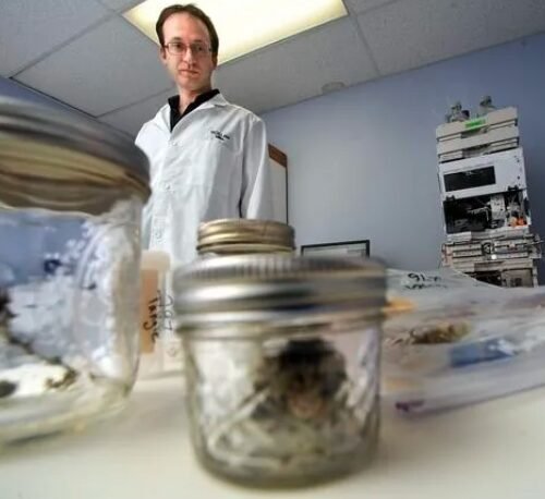 Cannabis Commissioner Pushes for Forensic Audit of Agency