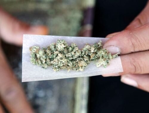 Cannabis Use Linked to Increased Cancer Risk: New Study Reveals
