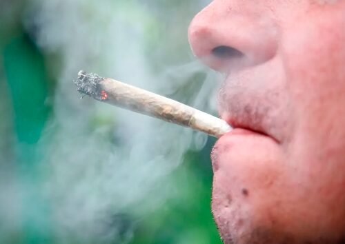 Cannabis Use Linked to Increased Risk of Head and Neck Cancer