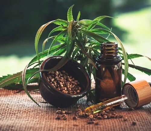 Cannabis Users More Likely to Miss Work, UCSD-Led Study Says