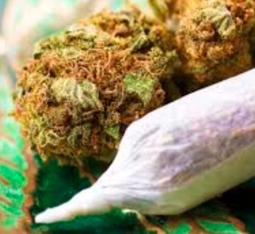 Heavy Cannabis Use Linked to Increased Risk of Head and Neck Cancer