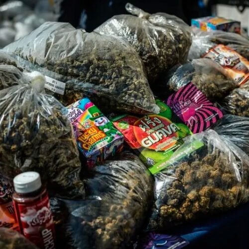 Mayor Adams Destroys Four Tons of Seized Cannabis in Operation Padlock to Protect