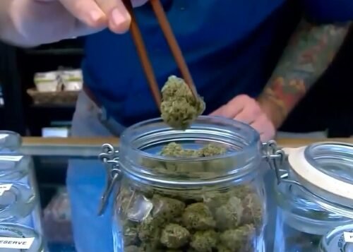 Medical Cannabis Dispensary Opens in Greater Decatur