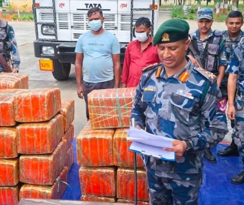 Nepal Police Seize 100 Kg of Cannabis from Car with Indian Number Plate