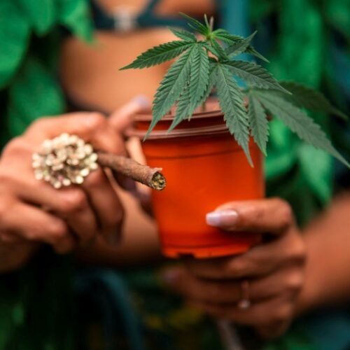 NYC Cracks Down on Unlicensed Cannabis Sales: Bodega Shut Down