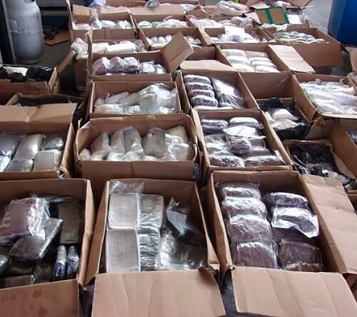 Massive Cannabis Bust in Queens: Over 100 Pounds Seized in Warehouse Raid