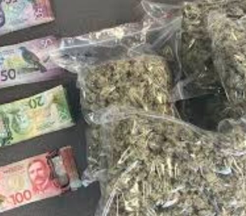 Southland Police Seize Cannabis, MDMA, and Cash in Major Drug Bust