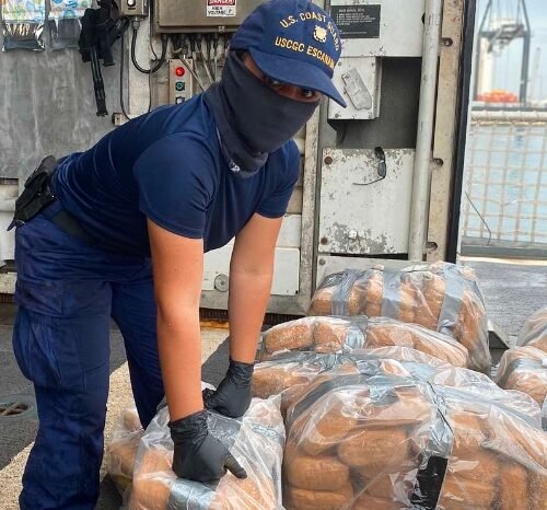 Algerian Army Thwarts Major Cannabis Smuggling Attempts from Morocco