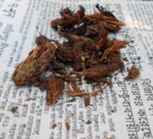 Massive Cannabis Destruction Conducted in Poonch