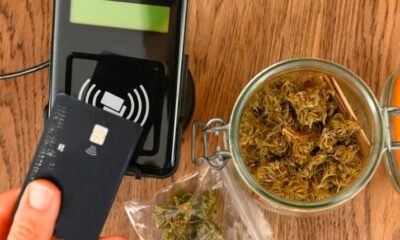 Accel Network Pioneers Cannabis-Related Card Transactions