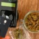 Accel Network Pioneers Cannabis-Related Card Transactions