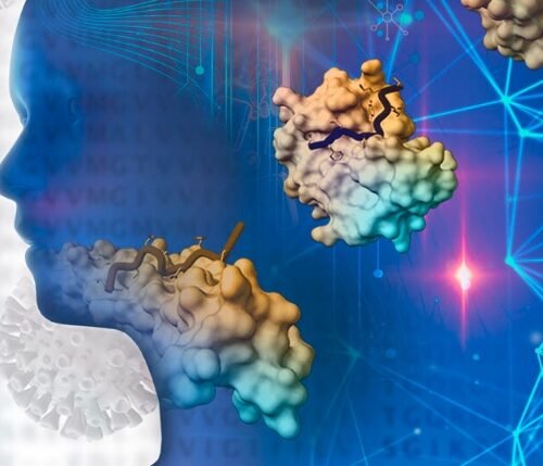 Cannabis: A Potential Key to Reversing Brain Aging