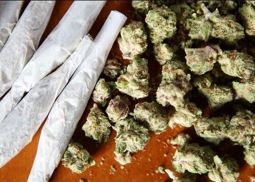 Colorado Springs City Council Approves Controversial Cannabis Ordinance