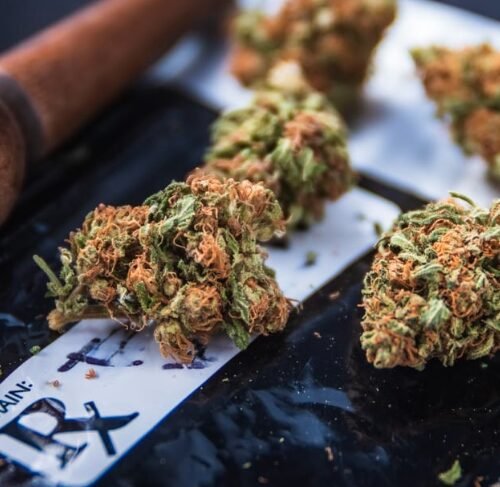 Green Check Expands Financial Services to Cannabis Businesses Within Sovereign Nations