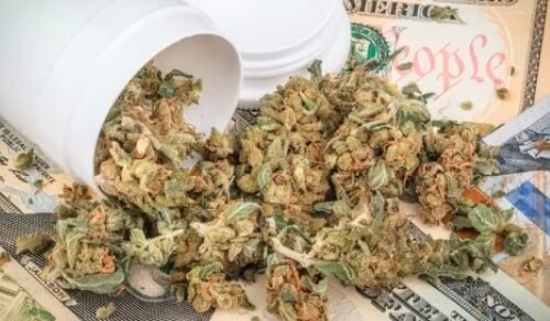 Insights from James Daley: Navigating the Cannabis Industry’s Financial Landscape