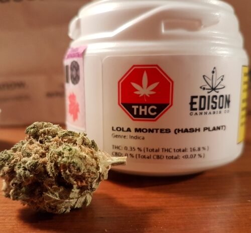 Legal Cannabis Shops in New York: A Three-Year Journey