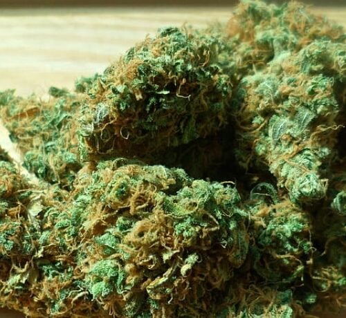 Exploring the Potential of Medical Cannabis in York