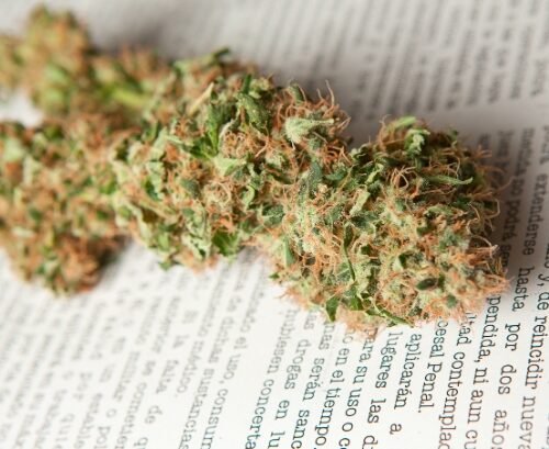 New Cannabis Legalization Bill Introduced as Pennsylvania Legislature Returns to Harrisburg