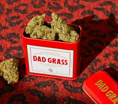 Organic Cannabis Operators Embrace Cutting-Edge Technology to Save Millions