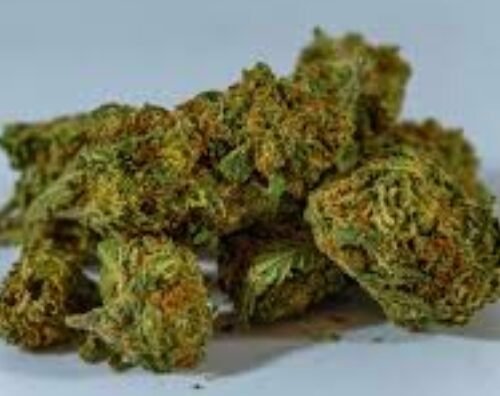 Cleared for Cannabis? What Rescheduling Could Mean for Clearance Holders