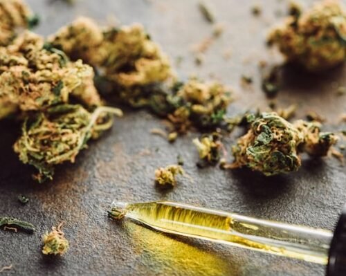 Justice Department Fights to Uphold Federal Cannabis Ban in Landmark Case