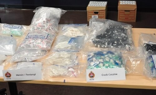 Major Drug Bust in Dublin: €8.5 Million Worth of Cannabis Seized