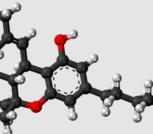 Cannabis Use Linked to Thinner Cortex in Adolescents