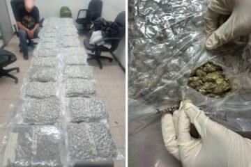 Two Drug Peddlers Nabbed with 5.5 Kg of Cannabis in Shimla