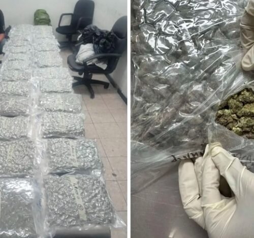 Two Drug Peddlers Nabbed with 5.5 Kg of Cannabis in Shimla