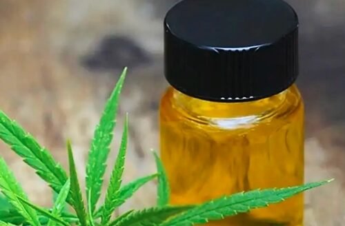 Cannabis and Pancreatitis: A Growing Concern