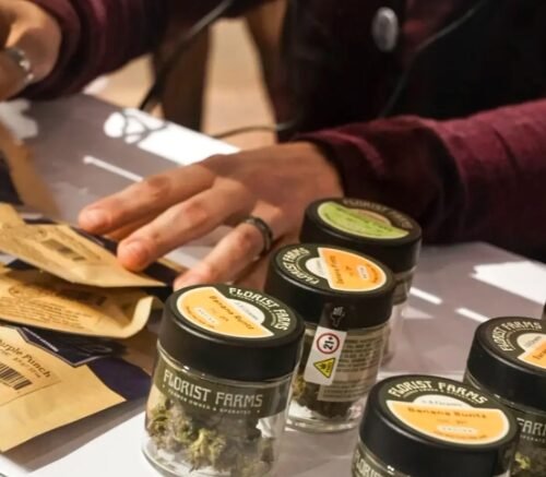 Female Cannabis Consumers Outspend Men: How Tilray and High Tide Are Adapting